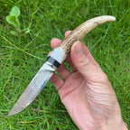 Damascus steel fixed blade knife with natural stag antler handle