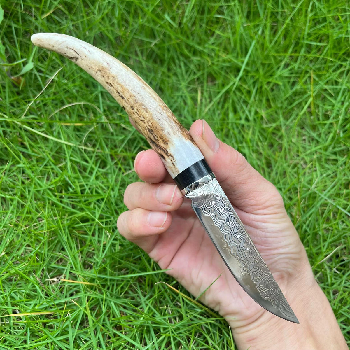 Handcrafted Damascus Steel Fixed Blade Knife – Natural Stag Antler Handle