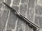 TwoSun TS455 Folding Knife – 14C28N Blade TC4 Titanium Handle