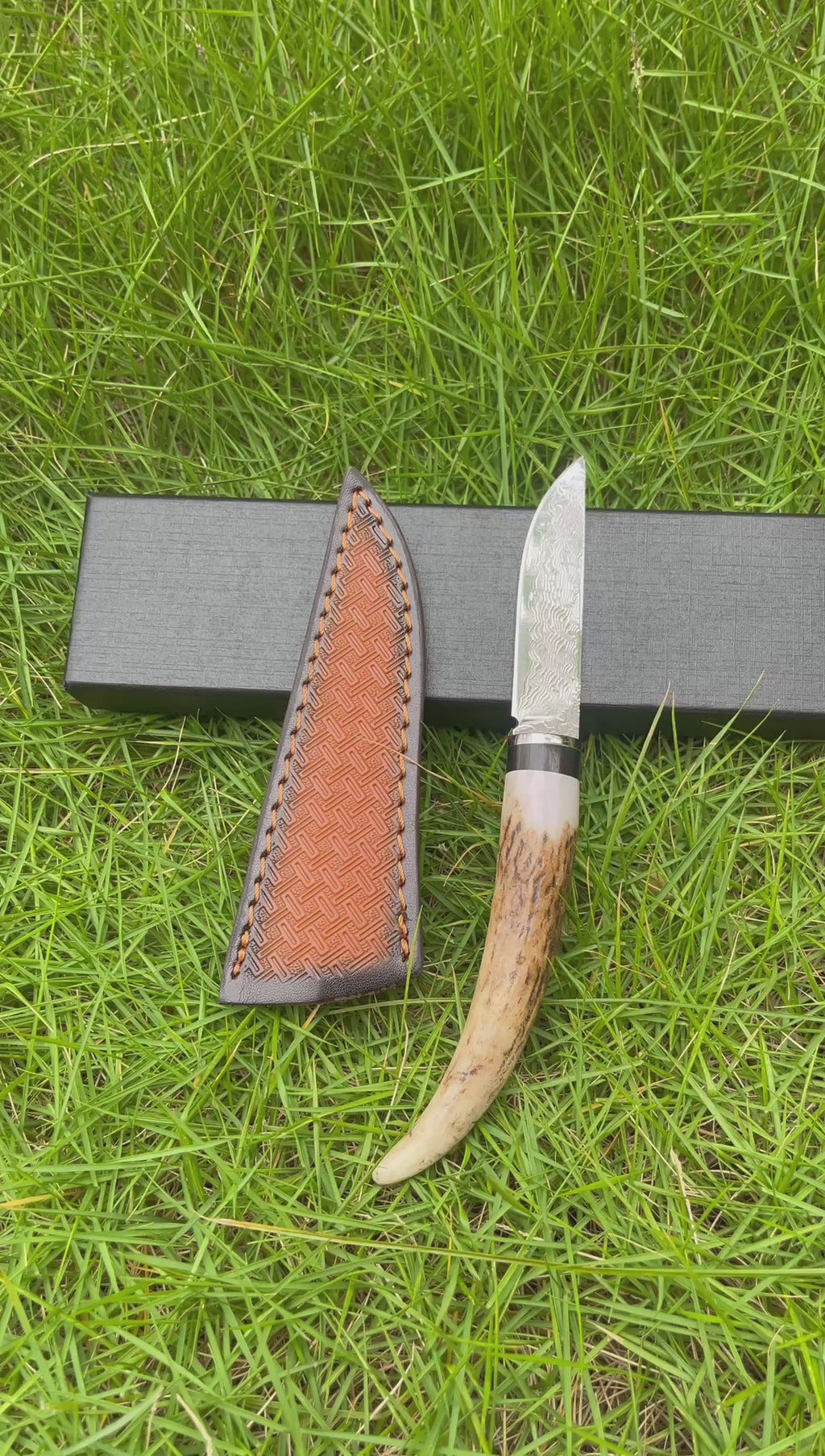 Handcrafted Damascus Steel Fixed Blade Knife – Natural Stag Antler Handle