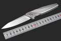 8'' New CNC M390 Steel Blade Full T4C Titanium Handle Pocket Camping Folding Knife DF96